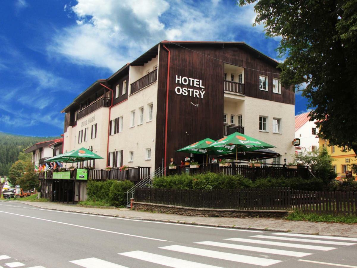 Apartmany Hotelu Ostry Zelezna Ruda Exterior photo